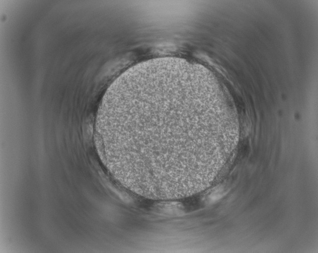 X0000067910427200605111947