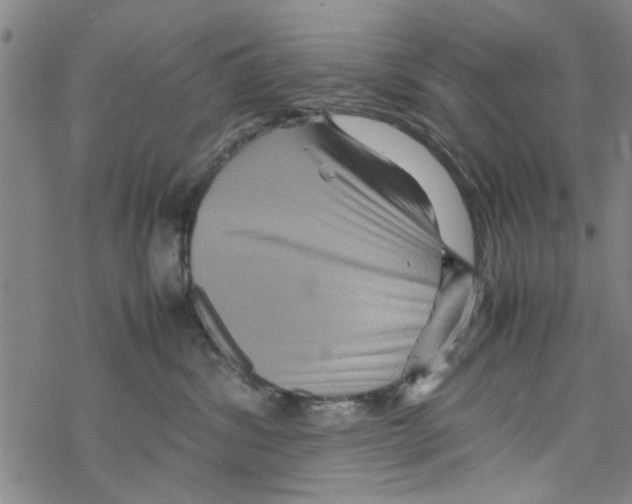 X0000067910428200605111947