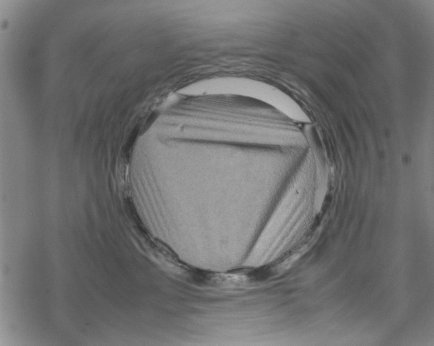 X0000067910429200605111947