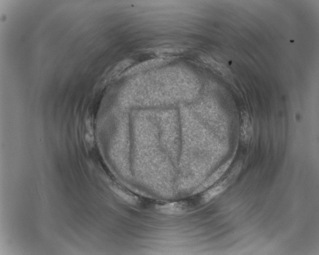 X0000067910430200605111947