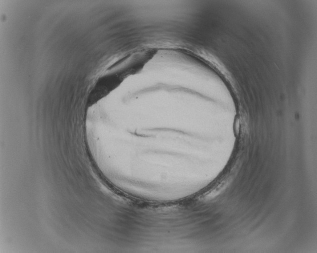 X0000067910433200605111947