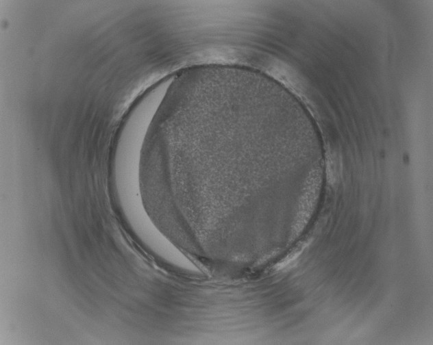 X0000067910434200605111947