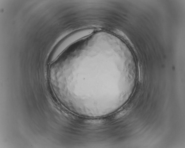 X0000067910435200605111947