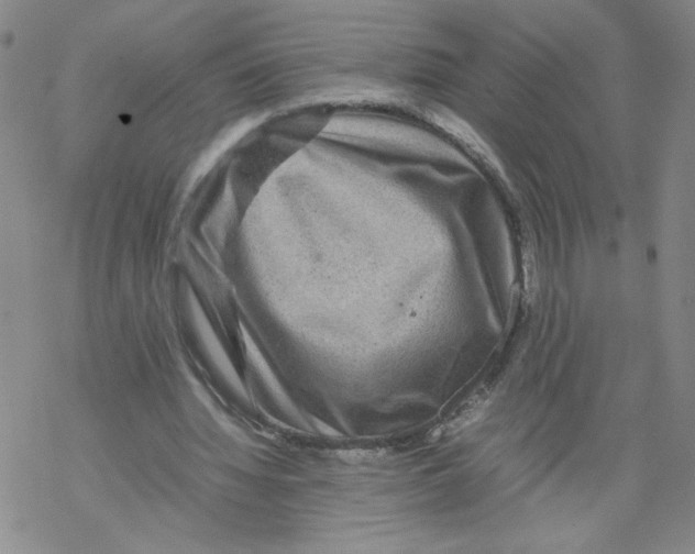 X0000067910436200605111947