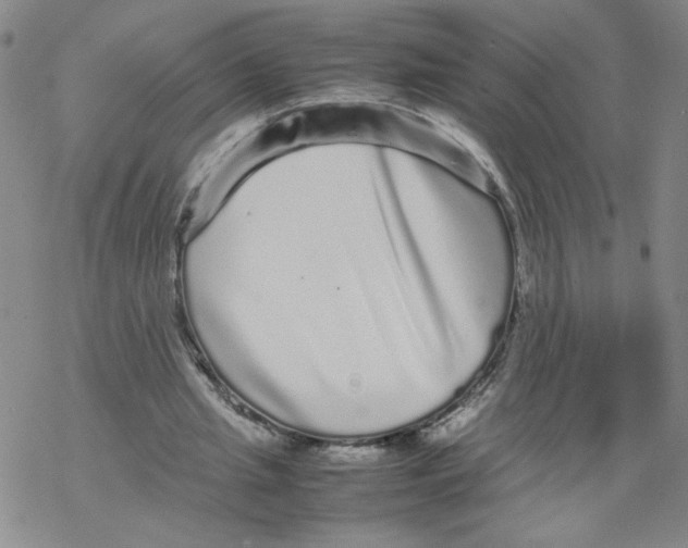 X0000067910437200605111947