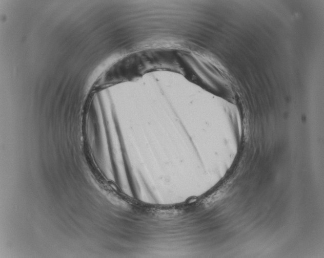 X0000067910438200605111947