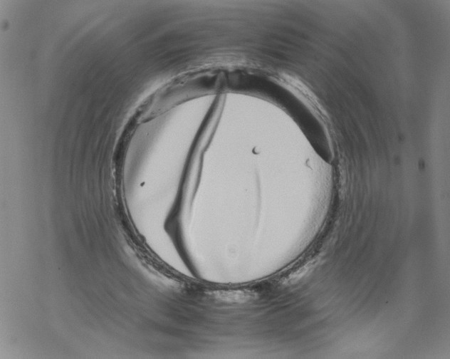 X0000067910439200605111947