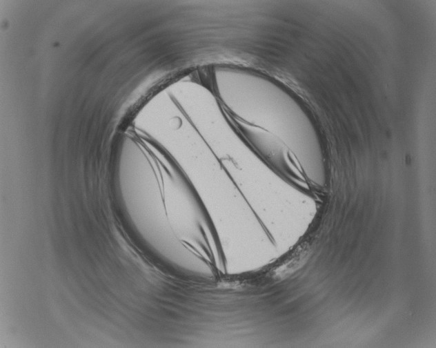 X0000067910440200605111947