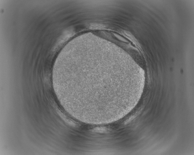 X0000067910441200605111947