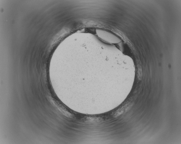 X0000067910442200605111947