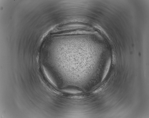 X0000067910444200605111947