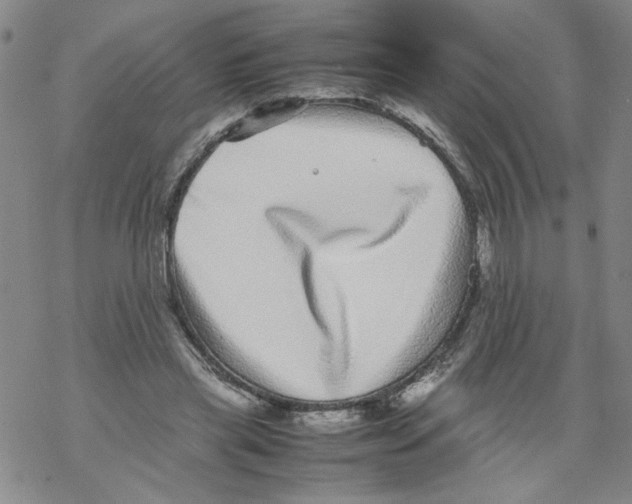 X0000067910445200605111947