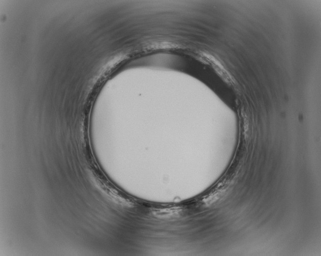 X0000067910447200605111947