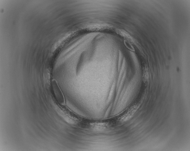 X0000067910448200605111947