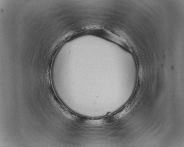 X0000067910449200605111947