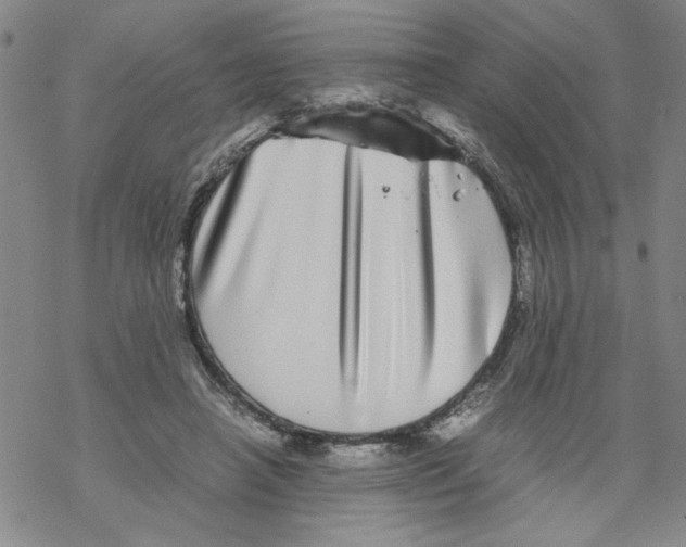 X0000067910450200605111947