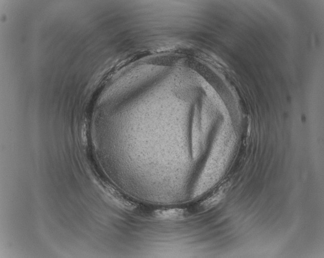 X0000067910452200605111947