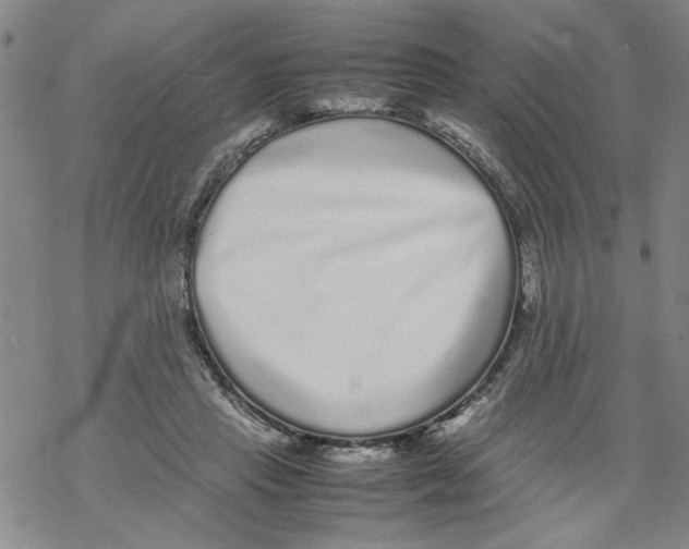 X0000067910453200605111947