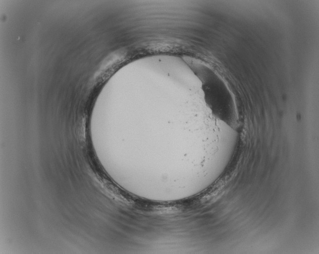 X0000067910454200605111947