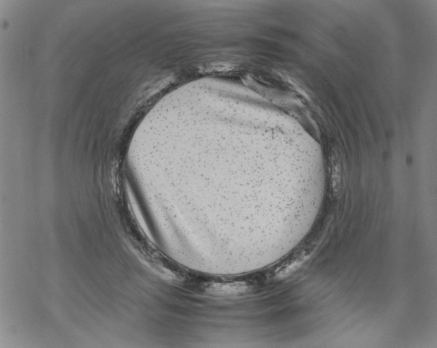 X0000067910455200605111947