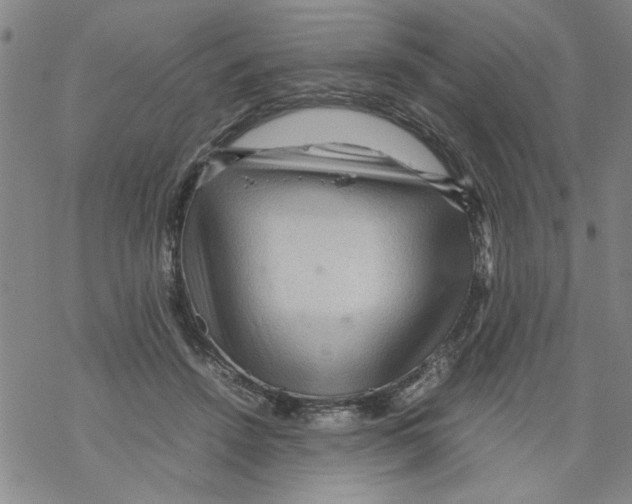 X0000067910456200605111947