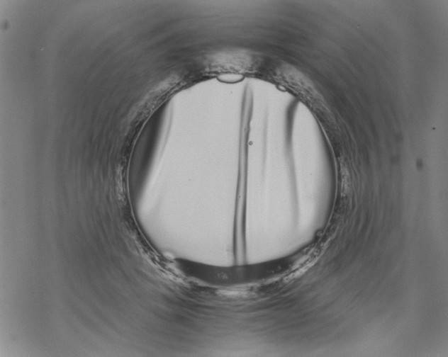 X0000067910457200605111947