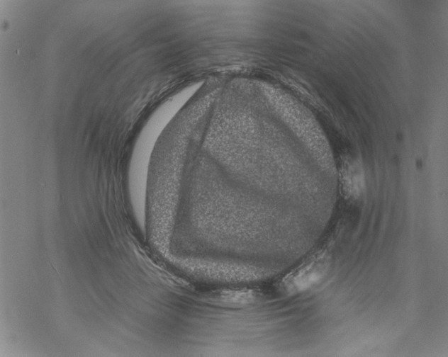 X0000067910458200605111947