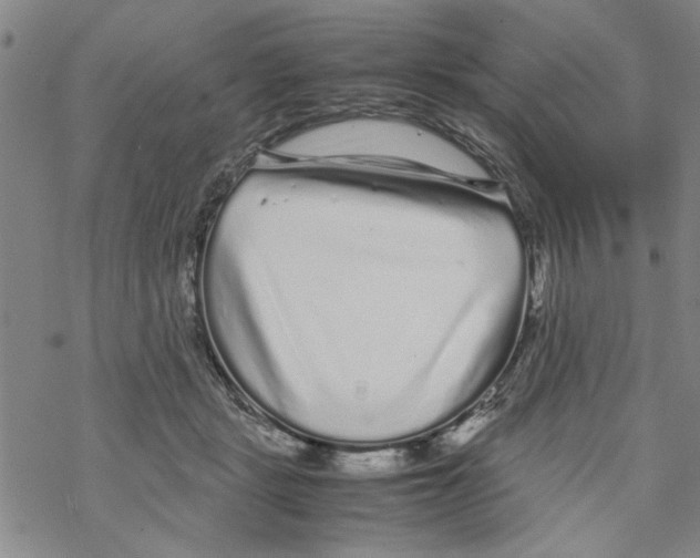 X0000067910461200605111947