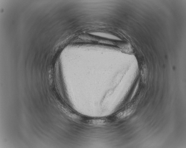 X0000067910462200605111947