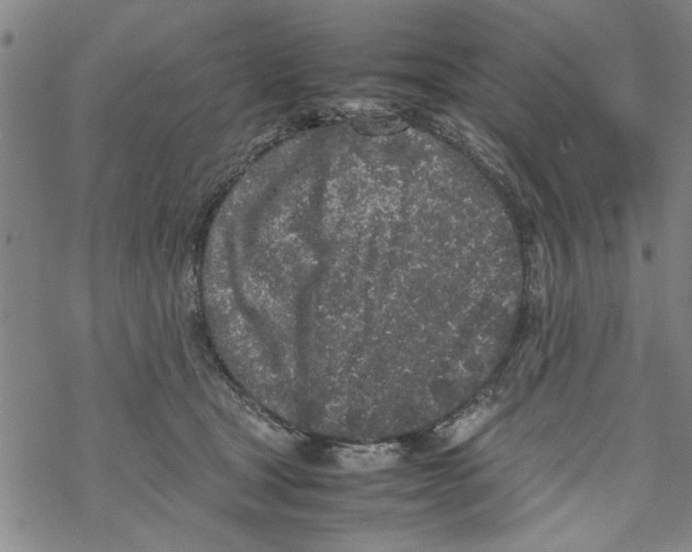 X0000067910465200605111947