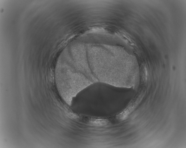 X0000067910467200605111947