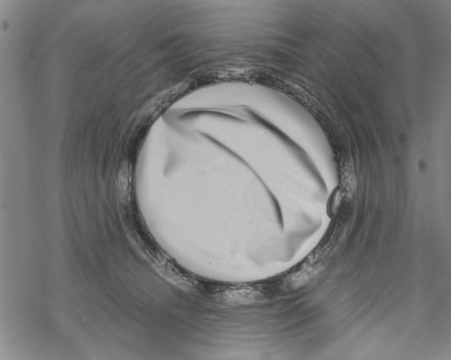 X0000067910468200605111947