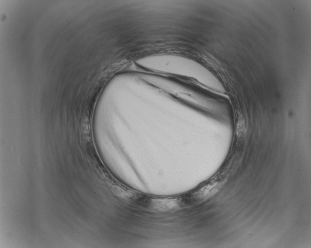 X0000067910469200605111947