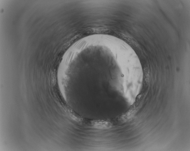 X0000067910471200605111947