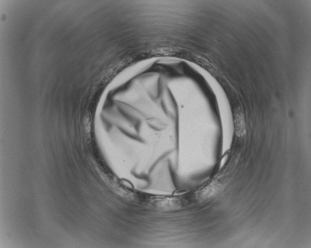 X0000067910472200605111947