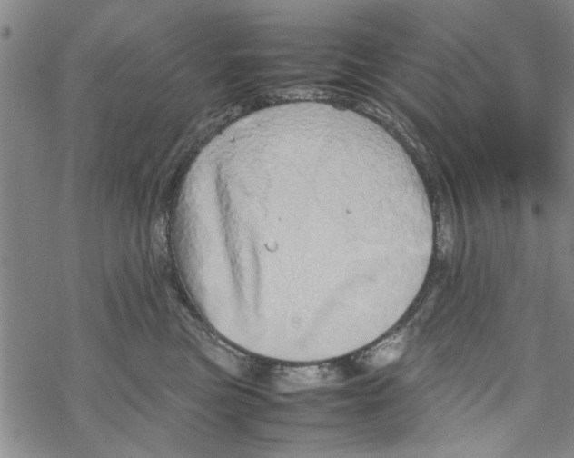 X0000067910473200605111947