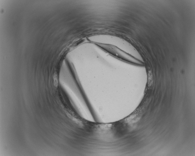 X0000067910474200605111947