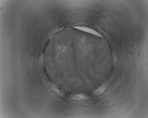 X0000067910475200605111947