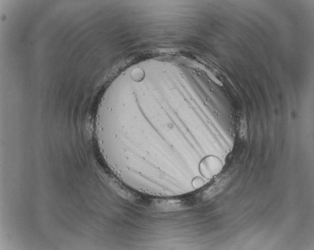 X0000067910476200605111947