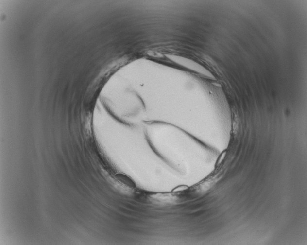 X0000067910477200605111947