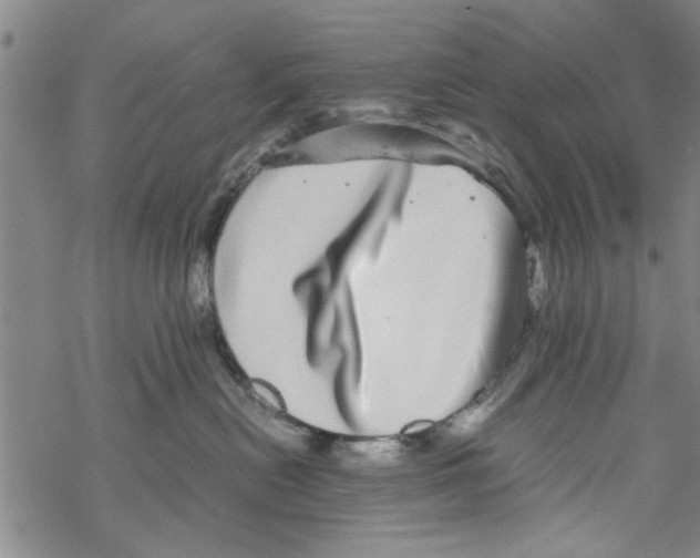 X0000067910478200605111947