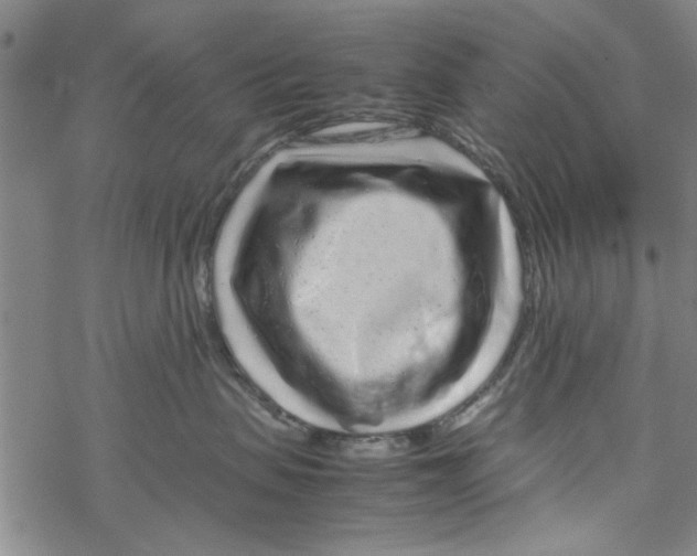 X0000067910479200605111947