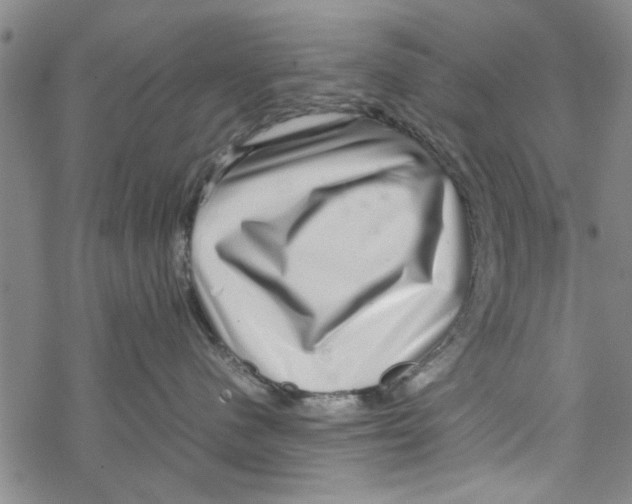 X0000067910480200605111947