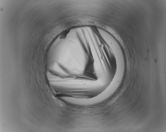 X0000067910481200605111947