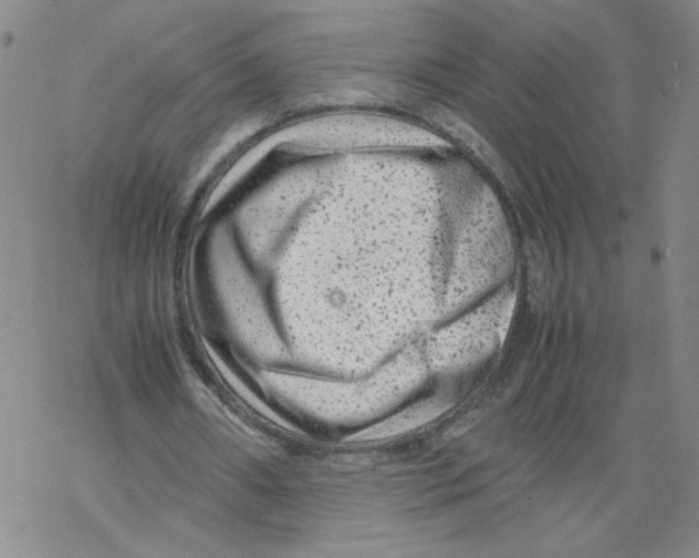 X0000067910482200605111947