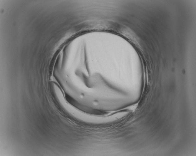 X0000067910483200605111947