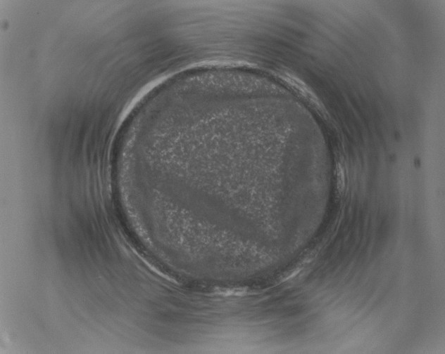 X0000067910484200605111946