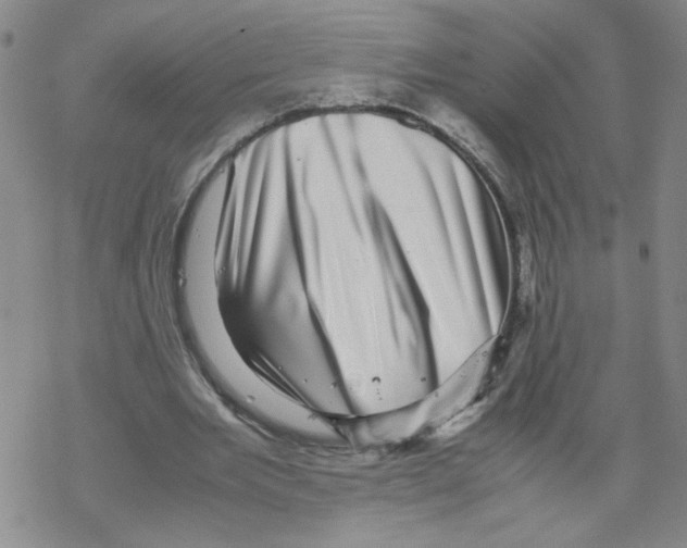 X0000067910485200605111946