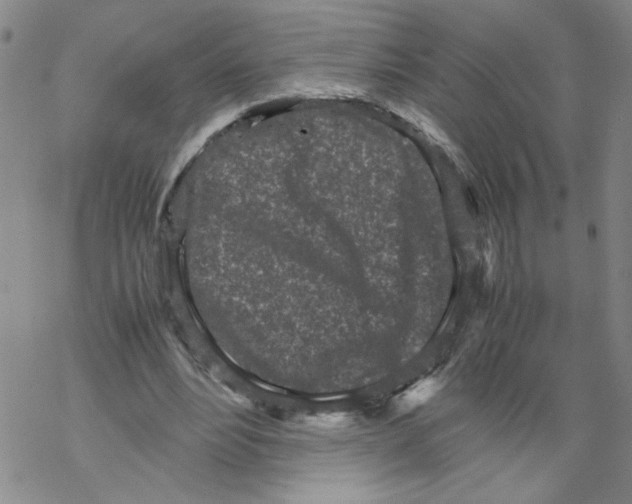 X0000067910488200605111946