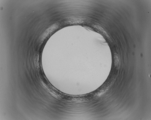 X0000067910490200605111946